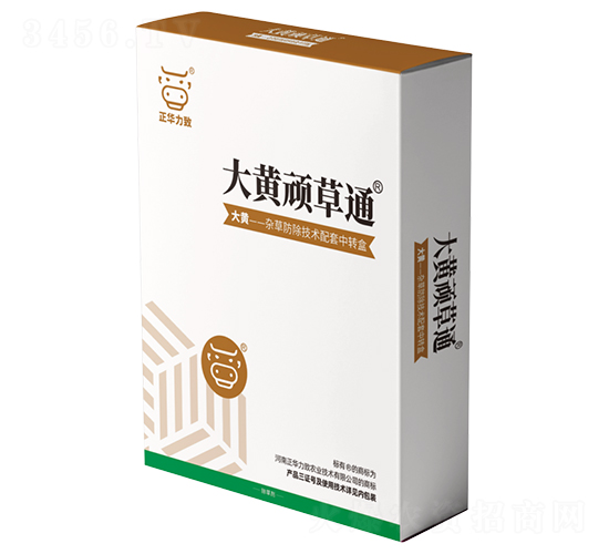 å¤§é»ƒé ‘è‰é€š-æ­£è¯åŠ›è‡´