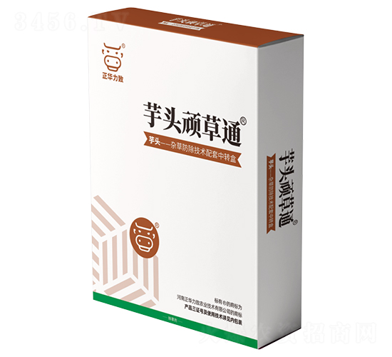èŠ‹é ­é ‘è‰é€š-æ­£è¯åŠ›è‡´