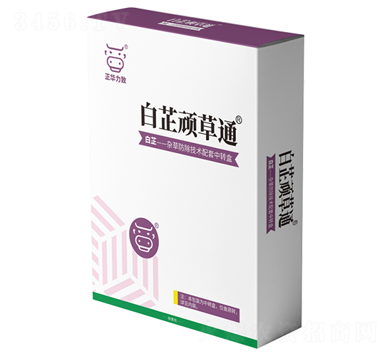 ç™½èŠ·é ‘è‰é€š-æ­£è¯åŠ›è‡´