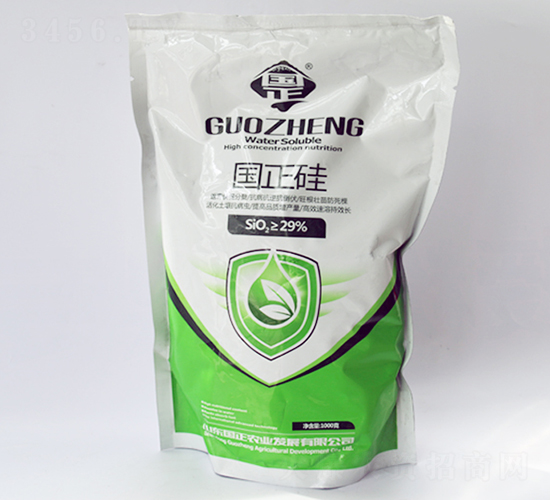 1000g國正硅-正能量