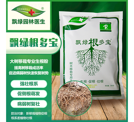 根多寶-飄綠
