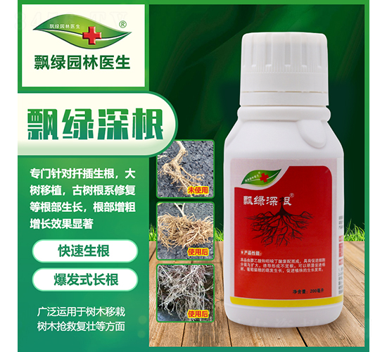飄綠深根-飄綠