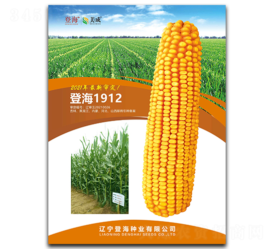 ç™»æµ·1912-çŽ‰ç±³ç¨®å­-ç™»æµ·ç¨®æ¥­(yÃ¨)