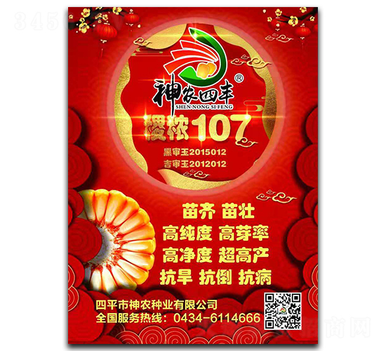 稷秾107-玉米種子-神農種業(yè)