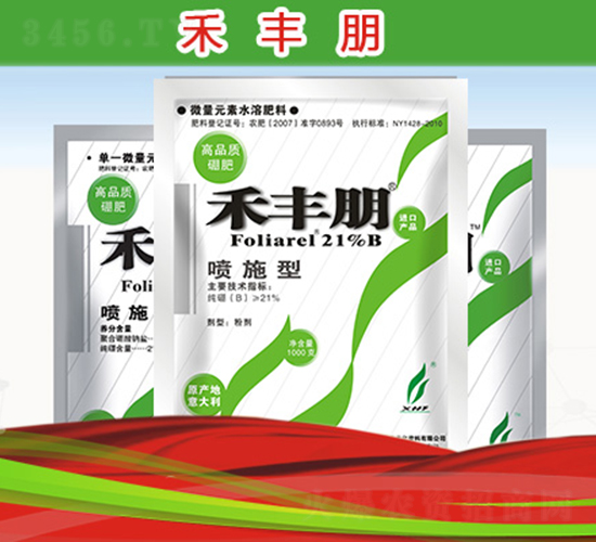 禾豐朋-新禾豐