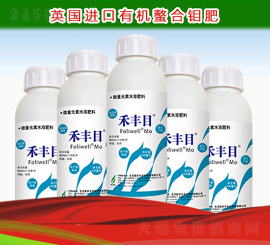 禾豐目-新禾豐