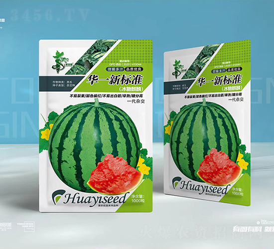 華一新標(biāo)準(zhǔn)-西瓜種子-華一種業(yè)