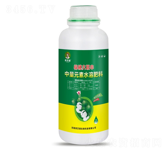 棉桃大聯(lián)串-英貝德