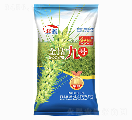 金鉆九號（小麥種子）-鑫農種業(yè)