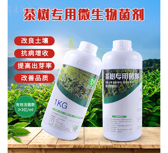 茶樹(shù)專用微生物菌劑-潤(rùn)垚