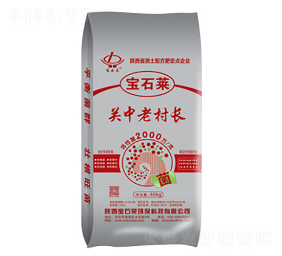關(guān)中老村長(zhǎng)-寶石萊