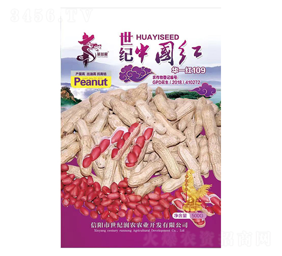 世紀(jì)中國紅華一紅109-花生種子-華一種業(yè)