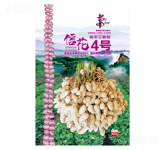 信花4號-花生種子-華一種業(yè)
