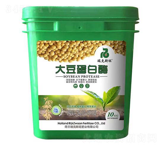å¤§è±†é…¶è›‹ç™½-ç‘žå…‹æ–¯æ—º