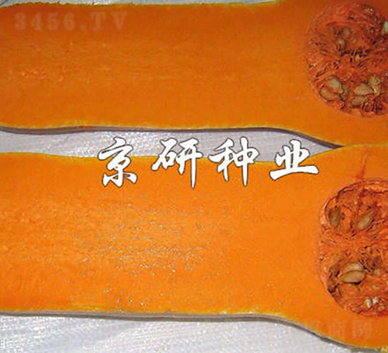 é»ƒæ²¹2è™Ÿ(hÃ o)å—ç“œ-å—ç“œç¨®å­-äº¬ç ”ç¨®æ¥­(yÃ¨)