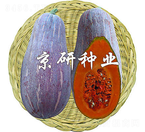 ç”œèœœ1è™Ÿ-å—ç“œç¨®å­-äº¬ç ”ç¨®æ¥­(yÃ¨)