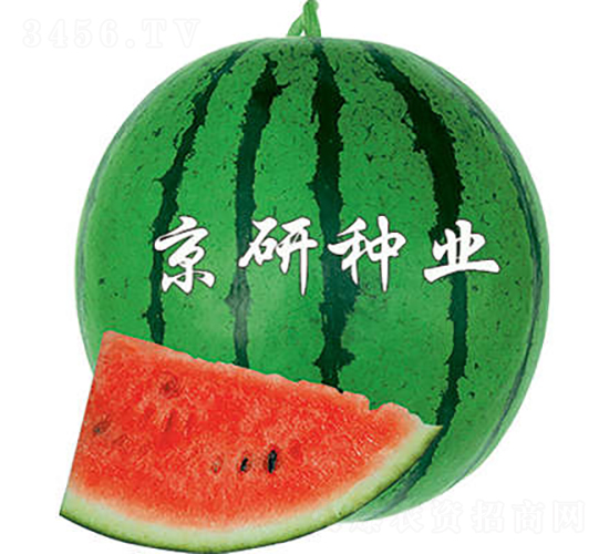 京欣4號(hào)-西瓜種子-京研種業(yè)