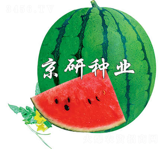 äº¬æ¬£3è™Ÿ-è¥¿ç“œç¨®å­-äº¬ç ”ç¨®æ¥­(yÃ¨)