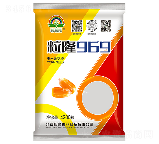 粒隆969-玉米種子-粒粒隆