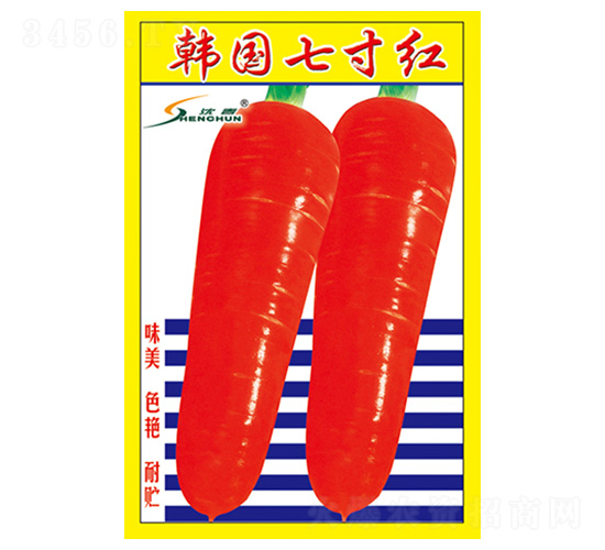 韓國(guó)七寸紅-蘿卜種子-豐華種業(yè)