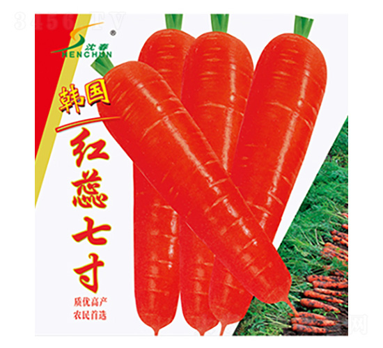 éŸ“åœ‹(guÃ³)ç´…è•Šä¸ƒå¯¸-è˜¿åœç¨®å­-è±è¯ç¨®æ¥­(yÃ¨)