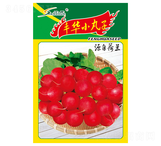 è±è¯å°ä¸¸å­-è˜¿åœç¨®å­-è±è¯ç¨®æ¥­(yÃ¨)
