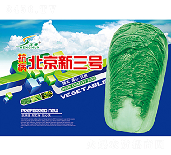 抗病北京新三號(hào)-白菜種子-豐華種業(yè)