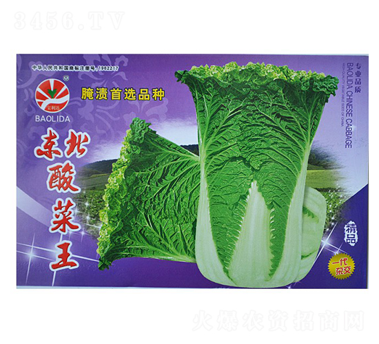 æ±åŒ—é…¸èœçŽ‹-ç§‹èœç¨®å­