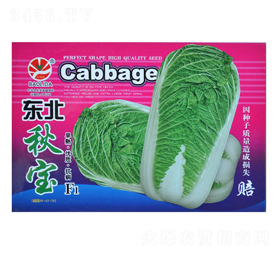 æ±åŒ—ç§‹å¯¶-ç§‹èœç¨®å­