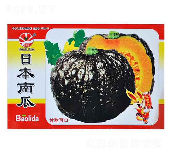 日本南瓜-南瓜種子
