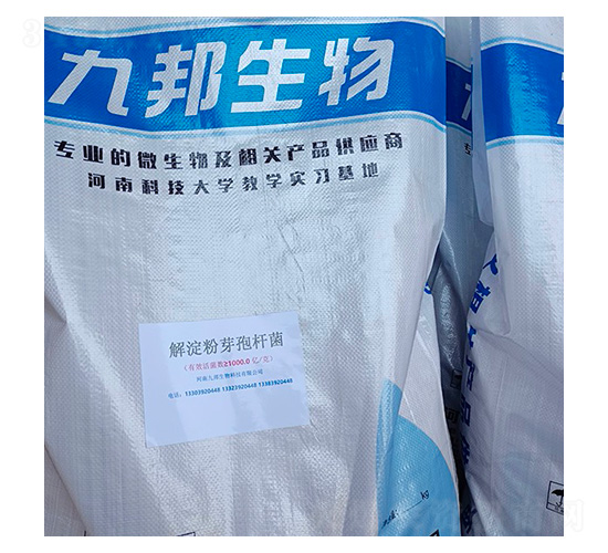 è§£æ·€ç²‰èŠ½å­¢æ¡¿èŒ-ä¹é‚¦ç”Ÿç‰©