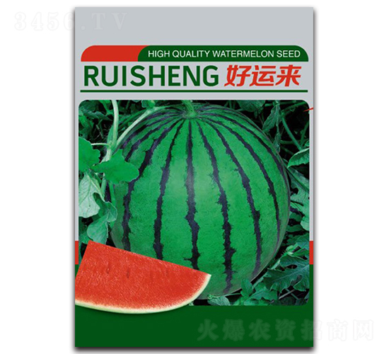 好運(yùn)來-西瓜種子-瑞晟