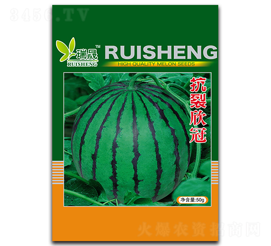 抗裂欣冠-西瓜種子-瑞晟