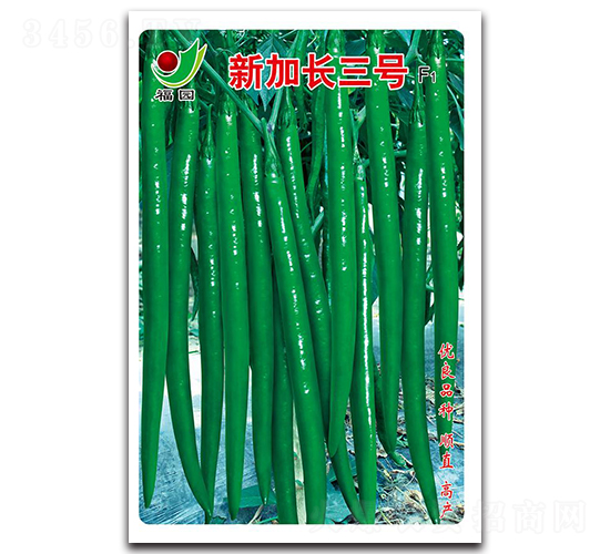 新加長(zhǎng)三號(hào)F1-線椒種子-蕭研種業(yè)