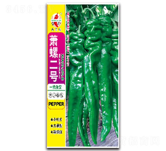 蕭螺二號-螺絲椒種子-蕭研種業(yè)
