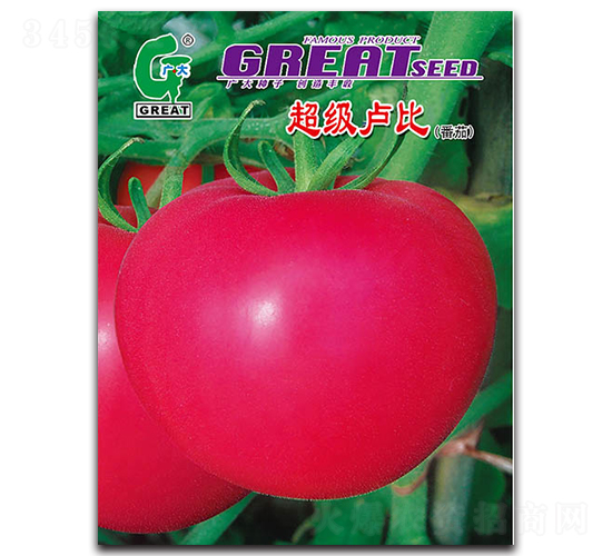 超級(jí)盧比-番茄種子-廣大