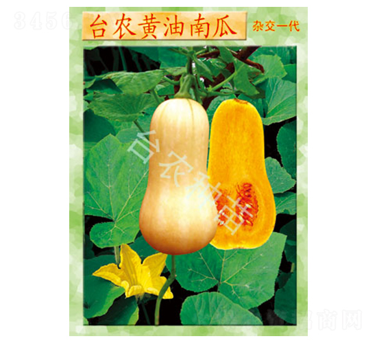 è‡º(tÃ¡i)è¾²(nÃ³ng)é»ƒæ²¹å—ç“œ-å—ç“œç¨®å­-è‡º(tÃ¡i)è¾²(nÃ³ng)ç¨®è‹—