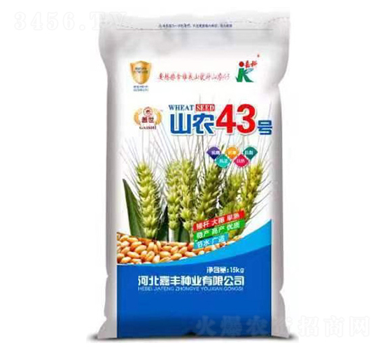 山農(nóng)43號(hào)-小麥種子-嘉科