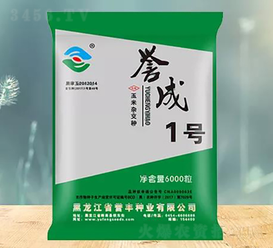 譽(yù)成1號(hào)-玉米種子-譽(yù)豐