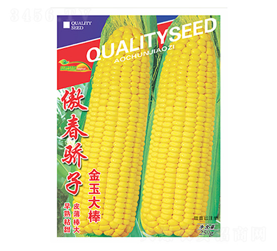 傲春驕子-金玉大棒-科星