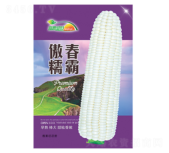 玉米種子-傲春糯霸-科星