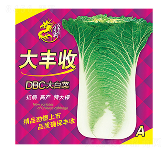 DBCå¤§ç™½èœ-å¤§è±æ”¶A-ç§‘æ˜Ÿ