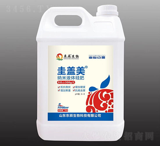 ç´ç±³æ¶²é«”ç¡…è‚¥-åœ­è“‹ç¾Ž-æ±è¾°ç”Ÿç‰©