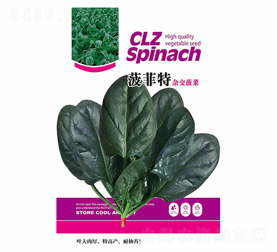 菠菲特-德盛豐