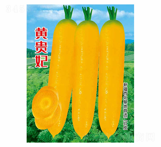 黃貴妃-德盛豐
