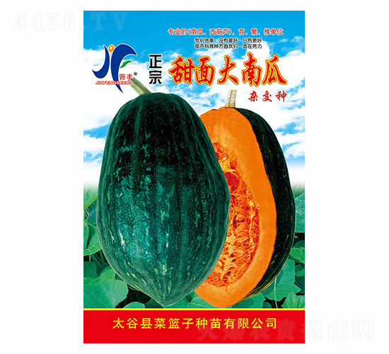 æ­£å®—ç”œé¢å¤§å—ç“œ-æ™‰è±-å¾·ç››è±
