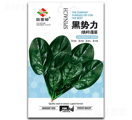 黑勢力菠菜-菠菜種子-哈里姆