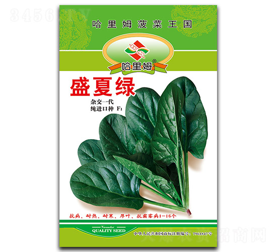 ç››å¤ç¶ -è èœç¨®å­-å“ˆé‡Œå§†