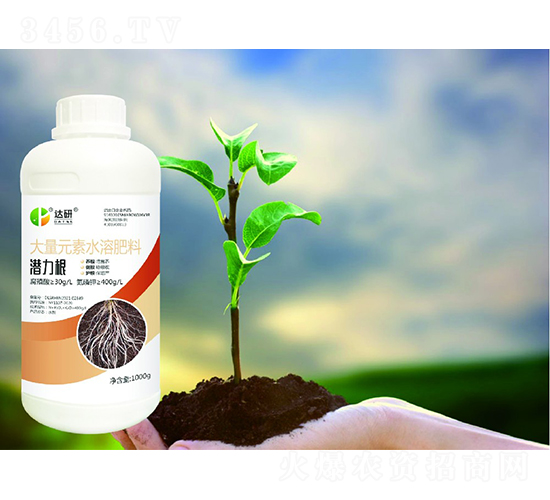 大量元素水溶肥料-潛力根-達(dá)研生物