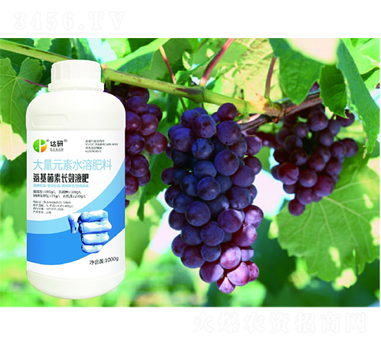 大量元素水溶肥料-氨基菌素長效液肥-達研生物